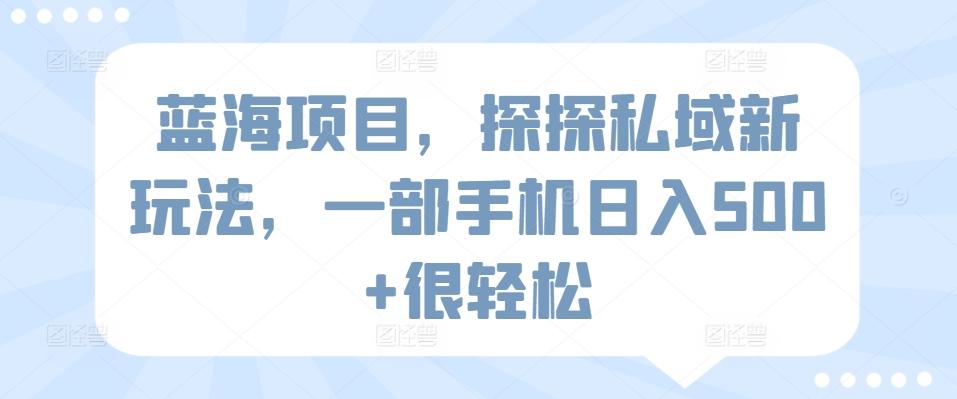 蓝海项目，探探私域新玩法，一部手机日入500+很轻松【揭秘】-闲赋网
