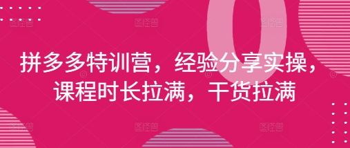 拼多多特训营，经验分享实操，课程时长拉满，干货拉满(更新25年4月)-闲赋网