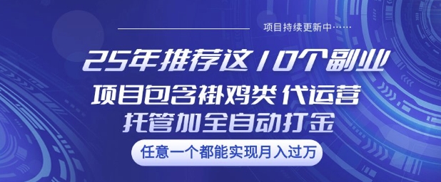 25年推荐这10个副业项目包含褂鸡类、代运营托管类、全自动打金类【揭秘】-闲赋网