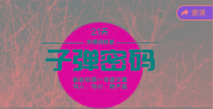 《子弹密码训练营》-用一句话文案勾人勾心卖产品，21天学到顶尖文案大师策略和技巧-闲赋网