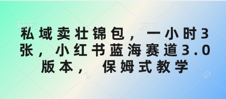 私域卖壮锦包，一小时3张，小红书蓝海赛道3.0版本， 保姆式教学-闲赋网