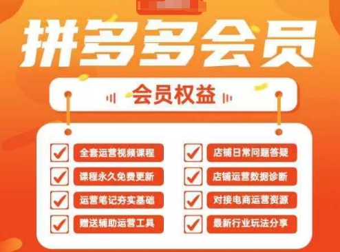 2025拼多多运营实战课，40节全流程教学，覆盖拼多多运营全链路-闲赋网