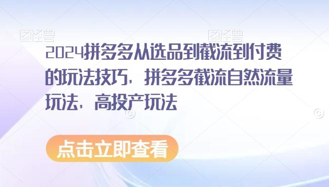 2024拼多多从选品到截流到付费的玩法技巧，拼多多截流自然流量玩法，高投产玩法-闲赋网