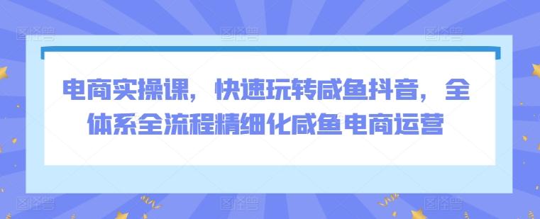 电商实操课，快速玩转咸鱼抖音，全体系全流程精细化咸鱼电商运营-闲赋网