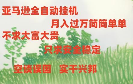 亚马逊全自动浏览挂机，，收益稳定且前景广阔-闲赋网