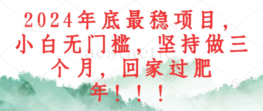 2024年底最稳项目，小白无门槛，坚持做三个月，回家过肥年！！！-闲赋网