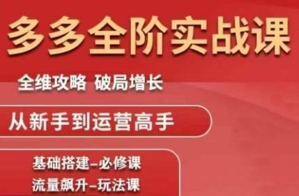 大炮·拼多多全阶实战课程(更新10月)-闲赋网