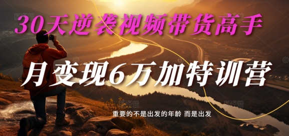 30天逆袭视频带货高手，单月变现6万加特训营-麦子甜-闲赋网