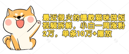 最近很火的爆款猫咪做饭视频拆解，小白一周涨粉2万，单条10万+播放(附保姆级教程)-闲赋网