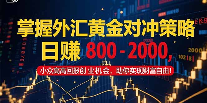 掌握外汇黄金对冲策略，日赚 800 – 2000，小众高回报创业机会，助你实…-闲赋网