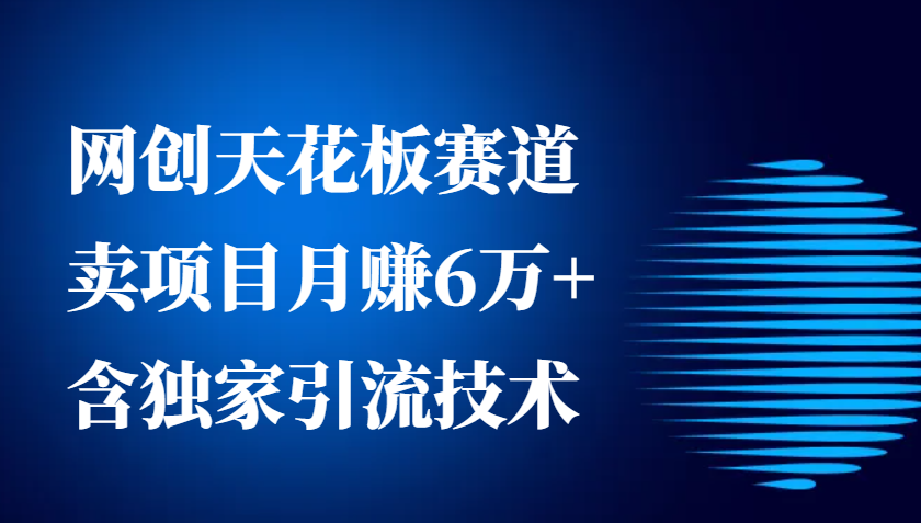 网创天花板赛道，卖项目月赚6万+，含独家引流技术(共26节课)-闲赋网