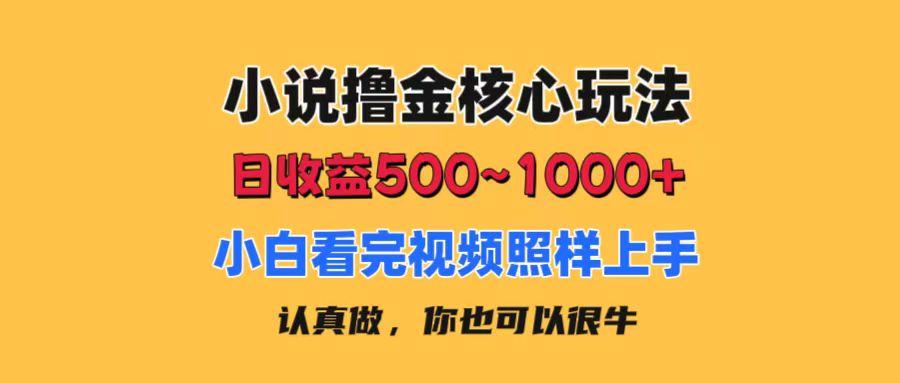 小说撸金核心玩法，日收益500-1000+，小白看完照样上手，0成本有手就行-闲赋网