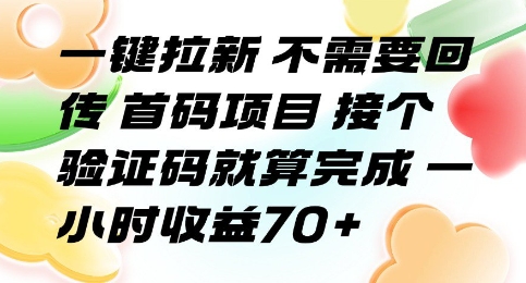 一键拉新 不需要回传 首码项目 接个验证码就算完成 一小时收益70+【揭秘】-闲赋网