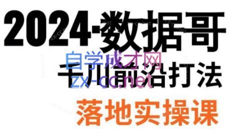 数据哥·2024年千川前沿打法落地实操课-闲赋网