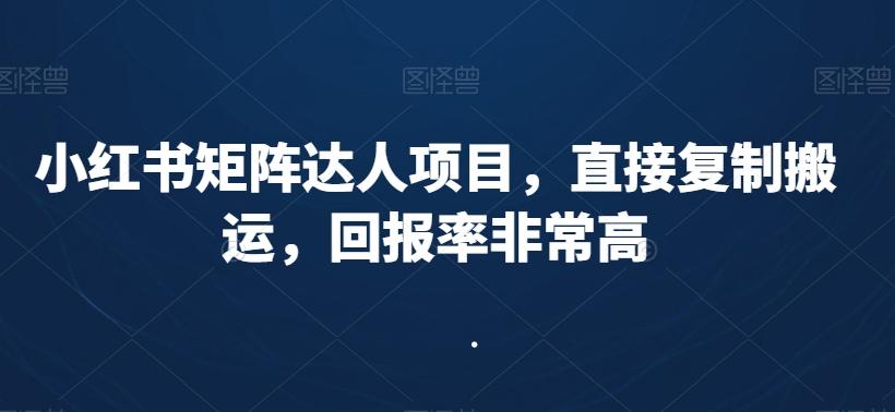 小红书矩阵达人项目，直接复制搬运，回报率非常高-闲赋网
