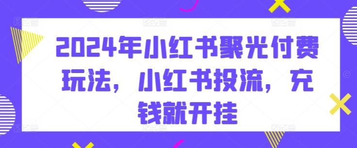 2024年小红书聚光付费玩法，小红书投流，充钱就开挂-闲赋网