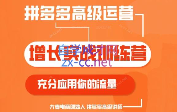 大麦老师·拼多多单品爆款打造课程(更新6月)-闲赋网