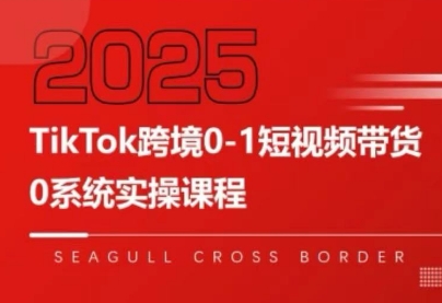 大亿老师·TikTok跨境0-1短视频带货-闲赋网