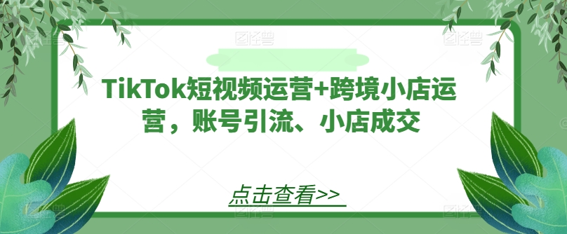 TikTok短视频运营+跨境小店运营，账号引流、小店成交-闲赋网