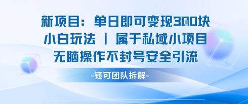 新项目单日即可变现3张的小白玩法无脑操作不封号安全引流-闲赋网