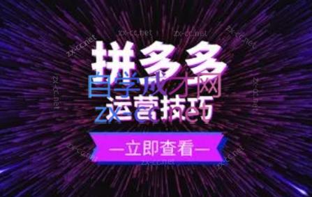 力辛电商·拼多多强付费店群玩法-闲赋网