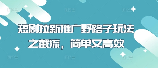 短剧拉新推广野路子玩法之截流，简单又高效-闲赋网