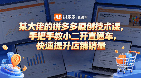 某大佬的拼多多原创技术课，手把手教小二开直通车，快速提升店铺销量-闲赋网