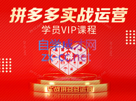 推易电商·拼多多实战运营课(更新2025月)-闲赋网