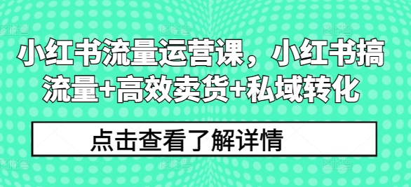 小红书流量运营课，小红书搞流量+高效卖货+私域转化-闲赋网