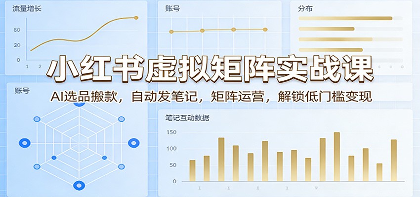 小红书虚拟矩阵实战课：AI选品搬款，自动发笔记，矩阵运营，解锁低门槛变现-闲赋网