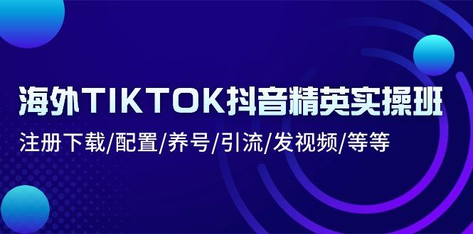 海外TIKTOK抖音精英实操班：注册下载/配置/养号/引流/发视频/等等-闲赋网