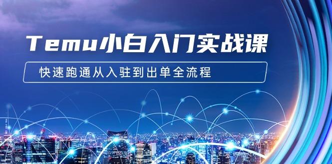 (9295期)Temu小白入门实战课：跨境拼多多电商培训 快速跑通从入驻到出单全流程-12节-闲赋网