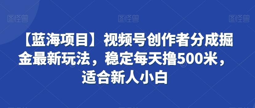 【蓝海项目】视频号创作者分成掘金最新玩法，稳定每天撸500米，适合新人小白【揭秘】-闲赋网