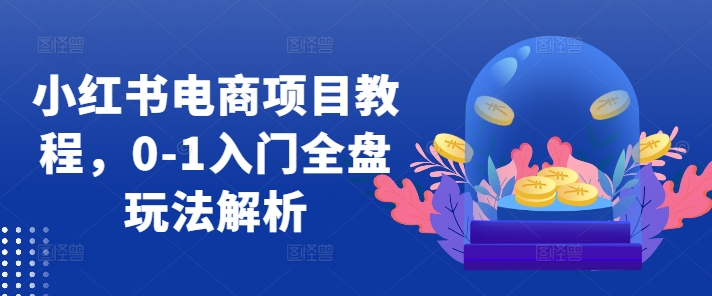 小红书电商项目教程，0-1入门全盘玩法解析-闲赋网