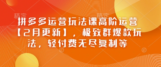 拼多多运营玩法课高阶运营【2月更新】，极致群爆款玩法，轻付费无尽复制等-闲赋网