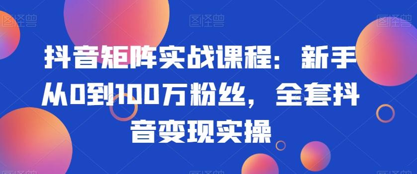 抖音矩阵实战课程：新手从0到100万粉丝，全套抖音变现实操-闲赋网