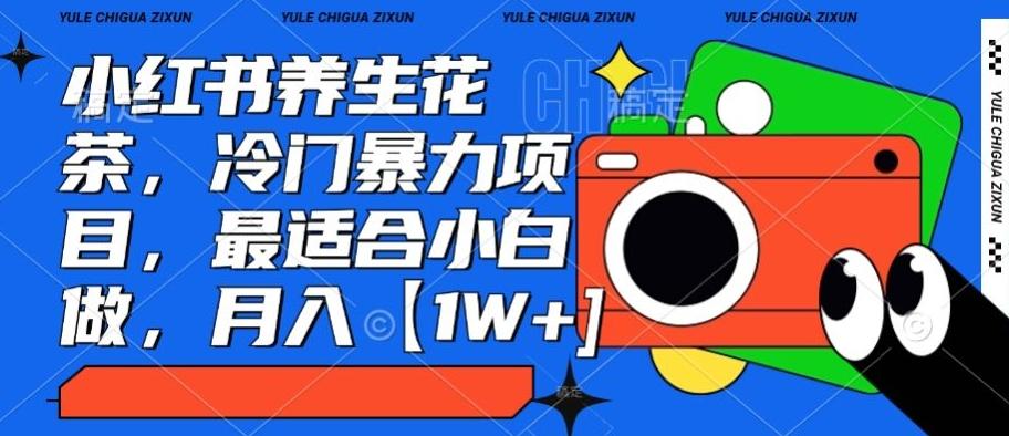 小红书养生花茶，冷门暴力项目，最适合小白做，月入【1W+】-闲赋网
