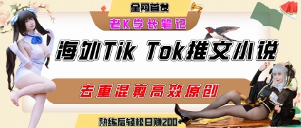海外tiktok小说推文暴力项目，高停留率，高转化率，上手后一天搞顿饭钱不是问题-闲赋网