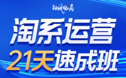 淘系运营21天速成班(更新9月)-闲赋网