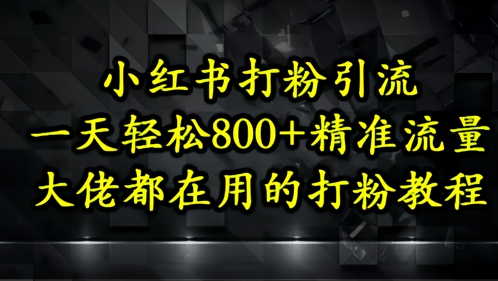 小红书打粉引流，一天轻松500+精准流量，大佬都在用的打粉教程-闲赋网