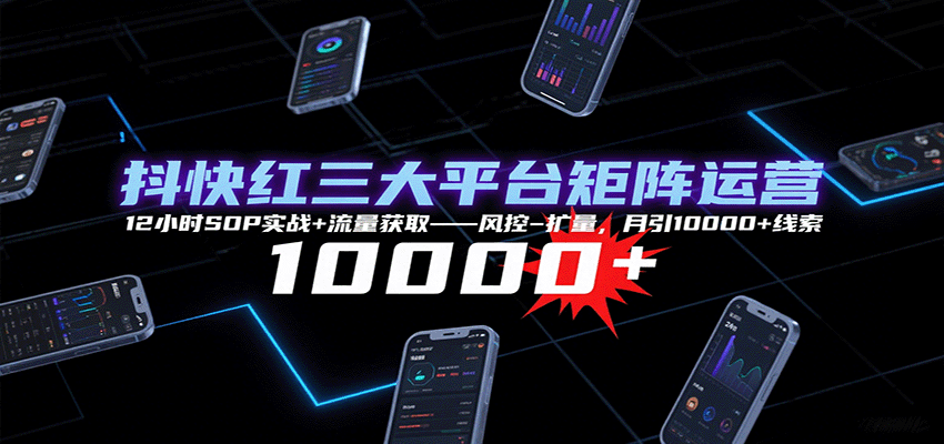 抖快红三大平台矩阵运营，12小时SOP实战+流量获取-风控-扩量，月引10000+线索-闲赋网