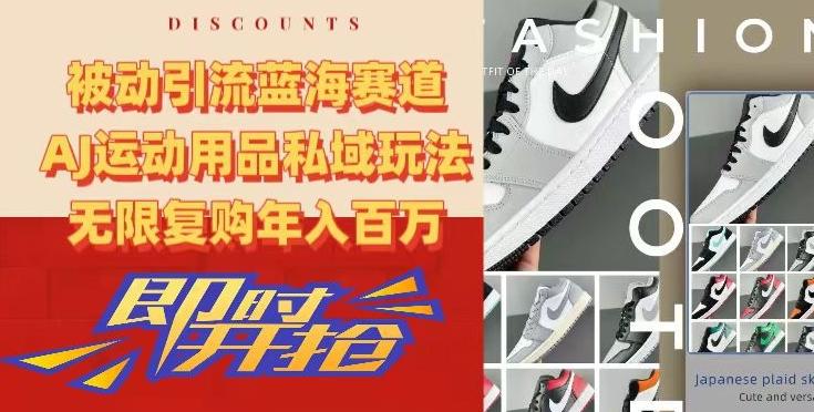 被动引流蓝海赛道，AJ运动用品私域玩法，无限复购年入百万【揭秘】-闲赋网
