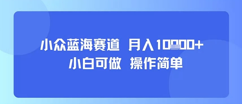 小众蓝海赛道，小白可做，操作简单，每天30分钟，月入1W+-闲赋网