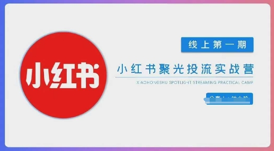 小红书聚光陪跑第一期，教你从0到1玩转小红书聚光投流，搭建小红书付费投流团队，更快的见到效果-闲赋网