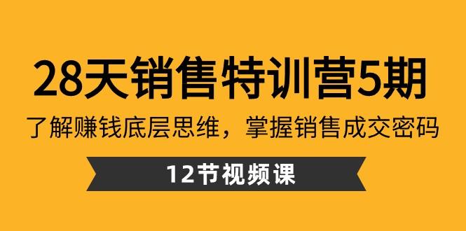 28天销售特训营5期：了解赚钱底层思维，掌握销售成交密码（12节课）-闲赋网