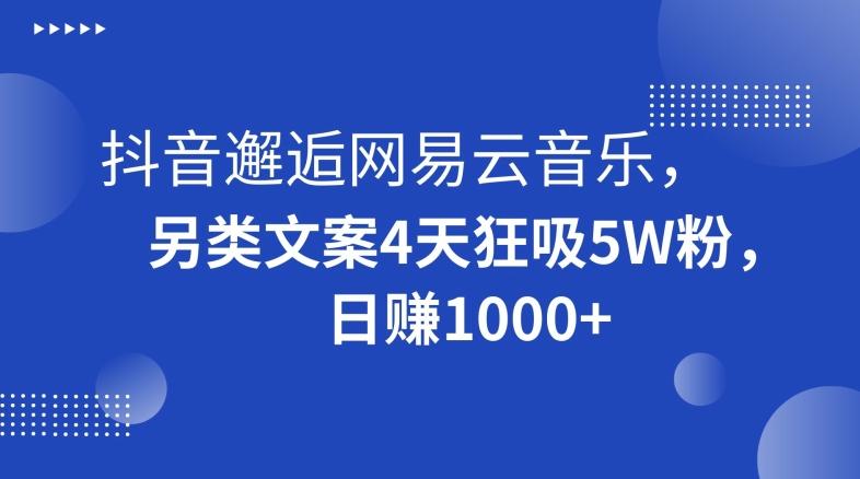抖音邂逅网易云音乐，另类文案4天狂吸5W粉，日赚1000+【揭秘】-闲赋网