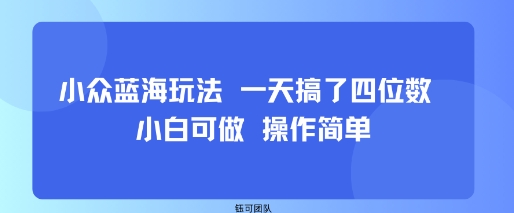 小众蓝海玩法 一天搞了四位数 小白可做 操作简单-闲赋网