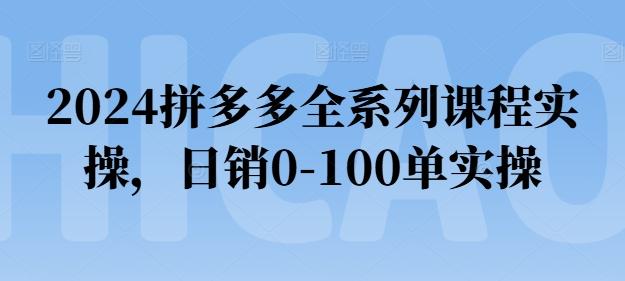2024拼多多全系列课程实操，日销0-100单实操【必看】-闲赋网