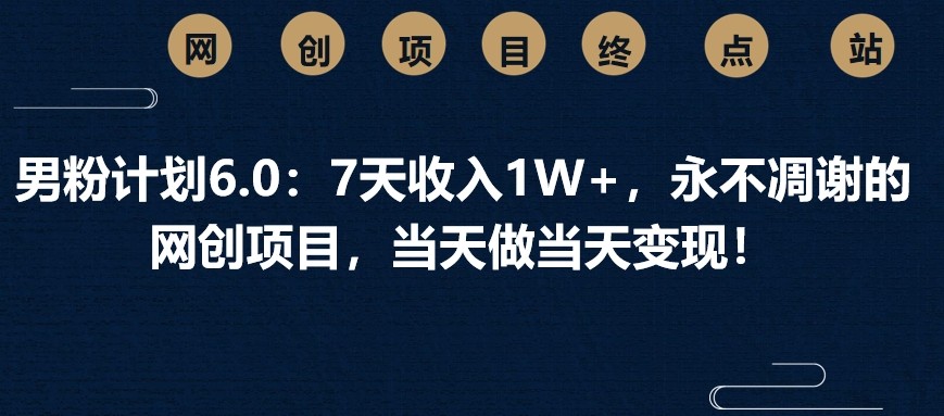 男粉计划6.0：7天收入1W+，永不凋谢的网创项目，当天做当天变现！-闲赋网