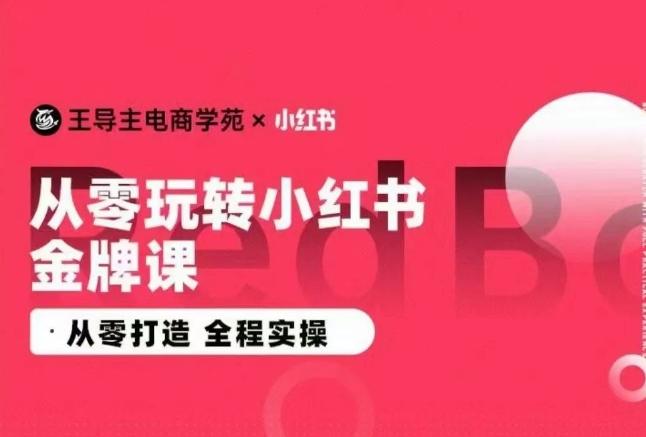 王导主·小红书电商运营实操课，​从零打造  全程实操-闲赋网